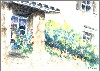 Sophie Bernard
          La Provence
          Aquarelle Sur Papier
          300gr Grain Fin 
          N22 (24 x 18 cm)