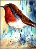 Sophie Bernard
          Un Rouge-Gorge
          Aquarelle sur Papier
          300gr Grain Fin
          N25 (31 x 45 cm)
