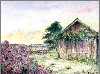 Sophie Bernard
          Une Cabane
          Aquarelle sur Papier
          300gr Grain Torchon
          N29 (26 x 18 cm)