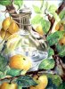 Sophie Bernard
          Le Pige
          Aquarelle sur Papier
          300gr Grain Fin 
          N33 (27 x 18 cm)