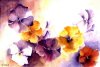 Sophie Bernard
          Les Penses
          Aquarelle sur Papier
          300gr Grain Torchon
          N37 (27 x 18 cm)