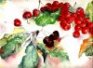Sophie Bernard
          Les Cerises 2
          Aquarelle sur Papier
          300gr Grain Torchon
          N38 (36 x 26 cm)