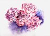 Sophie Bernard
          Les Pivoines
          Aquarelle sur Papier
          300gr Grain Torchon
          N38 (36 x 26 cm)
