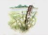 Sophie Bernard
          Herbes Folles
          Aquarelle sur Papier
          300gr Grain Torchon
          N38 (36 x 26 cm)